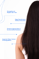 The Hair Repair Bundle